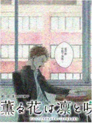 最新综艺免费观看 声音实验室 海报